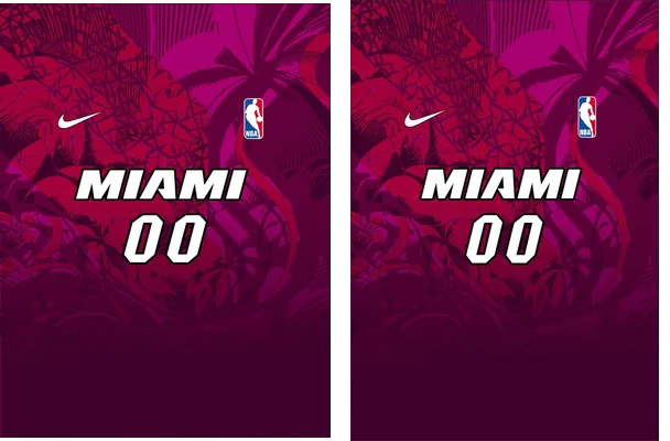 Miami Heat CONCEPT