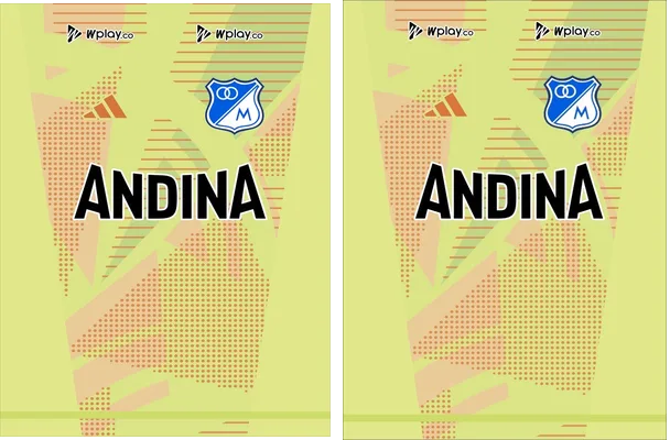 Millonarios Portero 2024