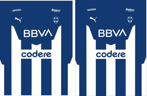 Monterrey Oficial 21 22