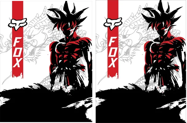 Motocross Fox DBZ