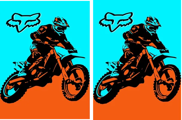 Motocross Fox Design Bitono
