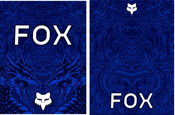 Motocross Fox Q 10