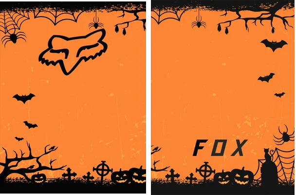 Motocross Fox Q 39