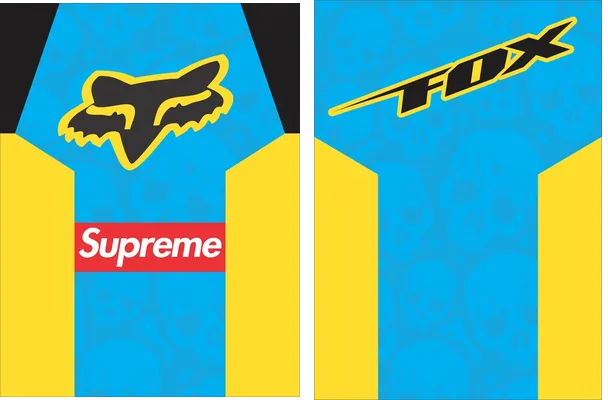 Motocross Fox Supreme Q 1