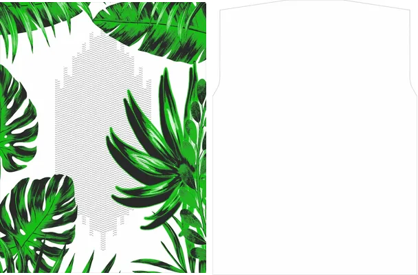 NIGERIA CONCEPTO TROPICAL 2022