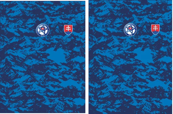 NK SLOVAKIA HOME 2020
