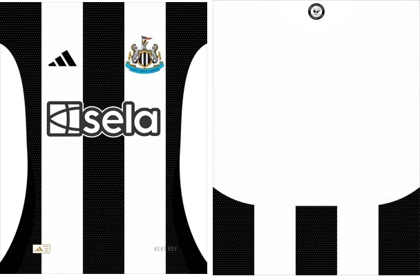Newcastle Local 2024 2025