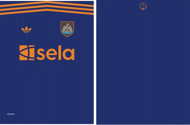 Newcastle Tercera 2025 2026