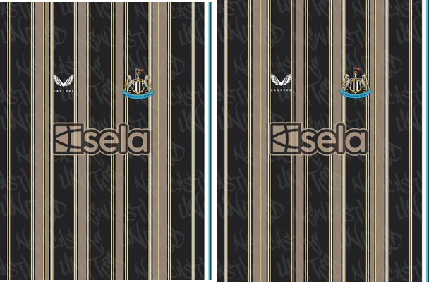 Newcastle United Concept