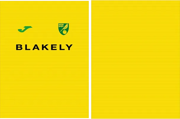 Norwich City Local 2025 2026