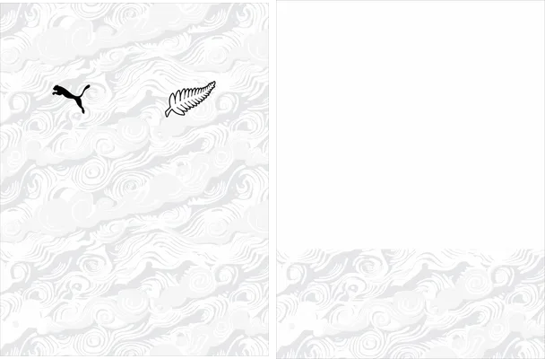 Nueva Zelanda Home Kit 2026