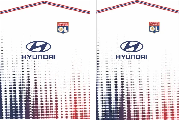 OLYMPIQUE LIONNAIS CONCEPT