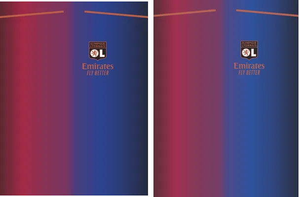 OLYMPIQUE LYONNAIS CONCEPT ADIDAS