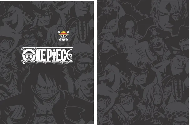 ONE PIECE TEXTURA 2024