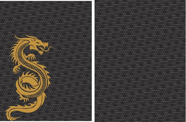 OWAYO DRAGÓN DORADO 2024