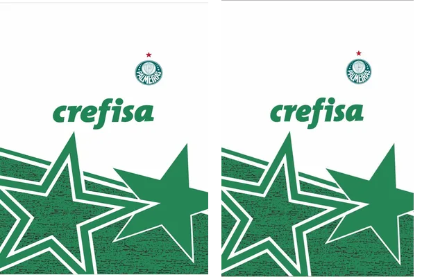 PALMEIRAS 06