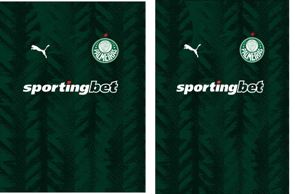 PALMEIRAS CONCEPT Q 1