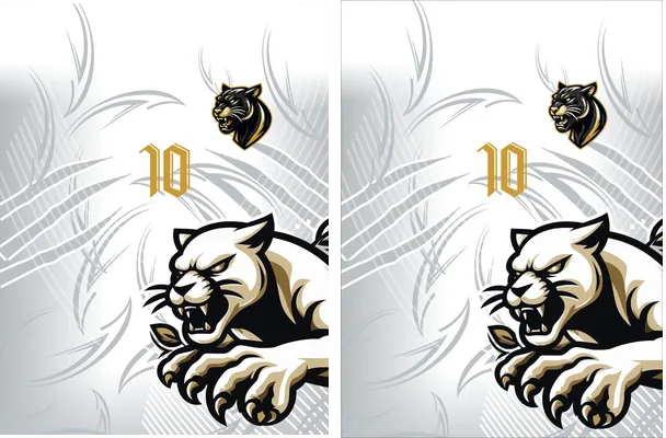 PANTERA DESIGN Q 1