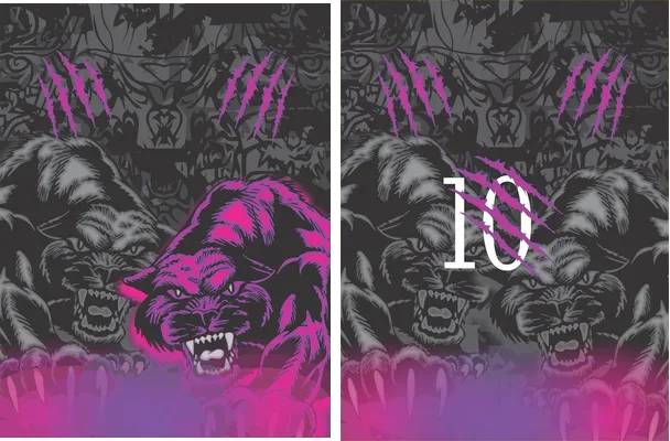 PANTERA FUCSIA MORADO INTERCLASSE 2024