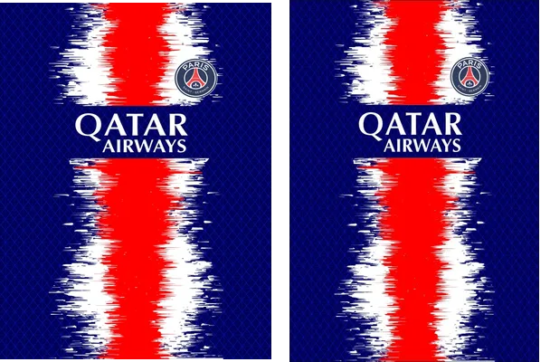 PARIS SAINT GERMAIN CONCEPT
