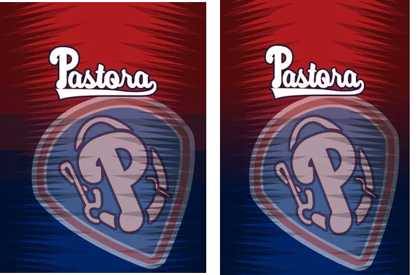 PASTORA DE LLANOS CONCEPT KIT