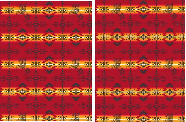 PATTERN VECTOR ARIAT JERSEY