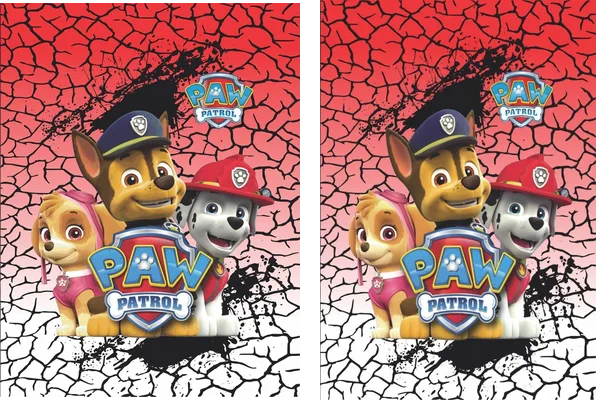 PAW PATROL DESIGN