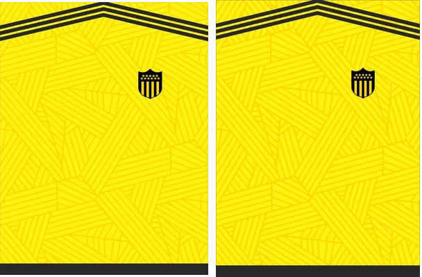 PENAROL 04