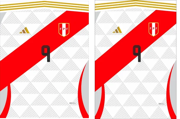 PERU COPA AMERICA 2024