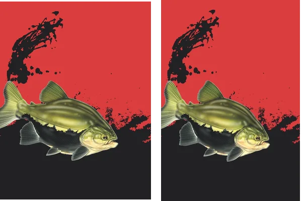PESCA DESIGN