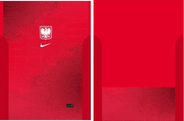POLONIA VISITA 2024 2025