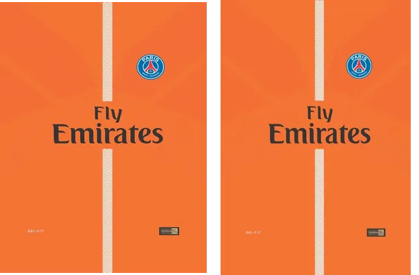 PSG 0031