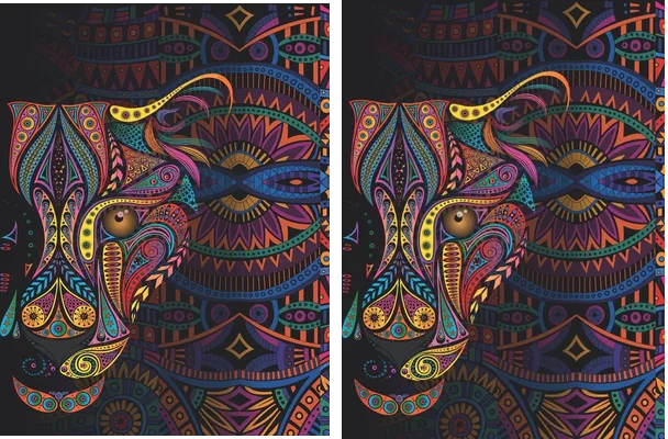 PUMA MANDALA DESIGN