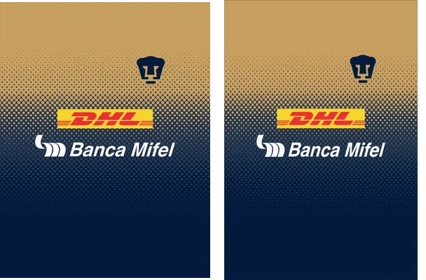 PUMAS 01