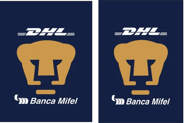 PUMAS 09