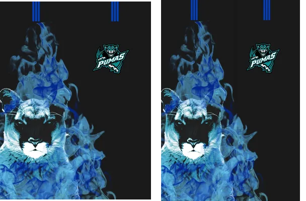 PUMAS FLAME BLUE CONCEPT