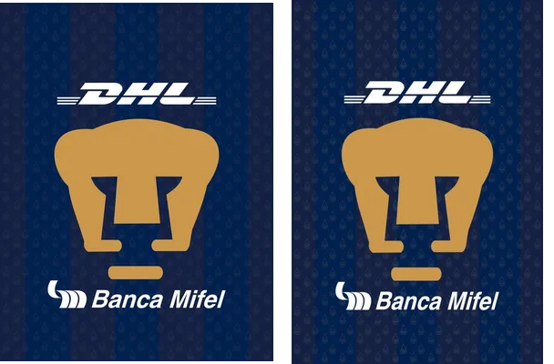 PUMAS Mexico
