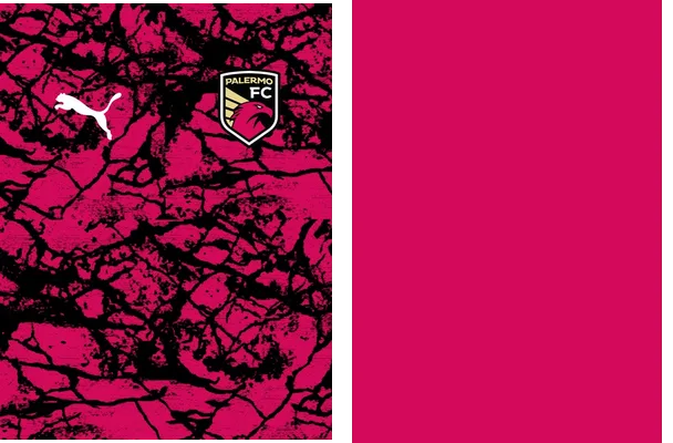 Palermo FC Concept Q 1