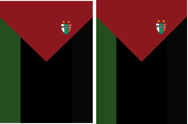 Palestino 2023 2024 Home Concept
