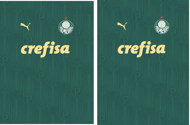 Palmeiras 2024 25