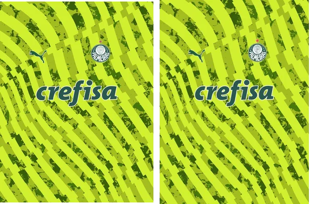 Palmeiras Fantasy PRO24