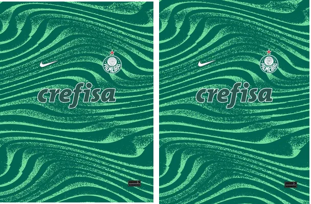 Palmeiras Grunge Concept 24 PRO