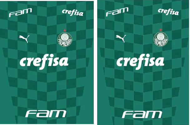 Palmeiras Home Kit 21