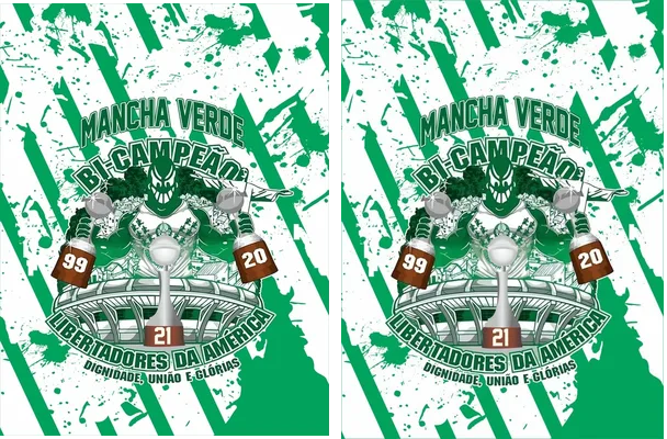 Palmeiras Libertadores de America