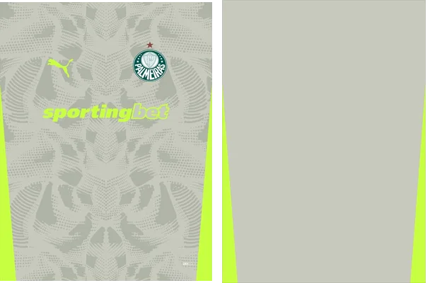 Palmeiras Portero 2025