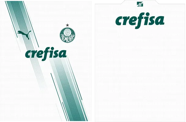 Palmeiras Visita 2023 2024