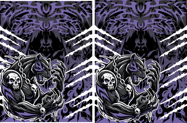 Pantera Sports Design