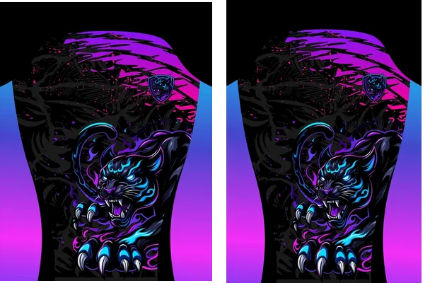 Panther Colours Interclasse Concept