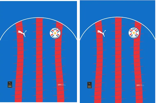 Paraguay Concept Puma24