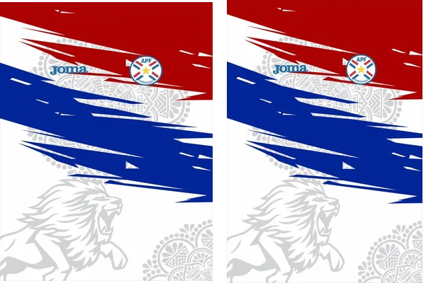 Paraguay Design Concept